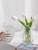 Light Luxury Northern European Style Spray Mouth Glass Vase Creative Living Room Simple Transparent Flowers Water Culture Internet Celebrity Flower Container