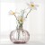 Small Floating Simple Ins Small Vase Mini Flower Device Transparent Color Flower Arrangement Decorative Window Sill Decoration