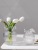 Light Luxury Northern European Style Spray Mouth Glass Vase Creative Living Room Simple Transparent Flowers Water Culture Internet Celebrity Flower Container