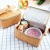 Outdoor Thermal Picnic Basket Japanese Garden Style Rattan-like Lunch Bag Snack Fruit Storage Portable Outing Basket