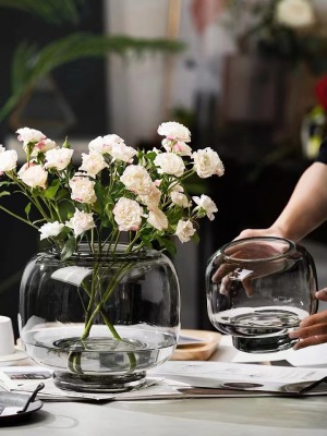 Simple Modern Light Luxury Primary Color Vase Transparent round Large Mouth Hydroponic Flower Arrangement Living Room Dining Table Glass Decoration