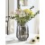 Nordic Light Luxury Glass Vase Transparent Living Room Flower Arrangement Lily and Dracaena Sanderiana Hydroponic Rose Flower Bottle Table Decoration