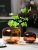 Simple Modern Light Luxury Primary Color Vase Transparent round Large Mouth Hydroponic Flower Arrangement Living Room Dining Table Glass Decoration