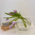 Korean Ins Same Transparent Glass Flower Bottle Flat Hydroponic Flower Pot Decoration Korean Style Floral Design Studio