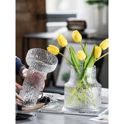Minimalist Creative Ins Light Luxury Extremely Frozen Nordic Transparent Glass Vase Aquatic Flower Arrangement Living Room Dining Table Internet Celebrity Ornaments