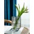 Light Luxury and Simplicity Nordic Creative Ins Glass Vase Home Living Room Table Decoration Aquatic Vase Decorations