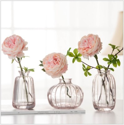 Small Floating Simple Ins Small Vase Mini Flower Device Transparent Color Flower Arrangement Decorative Window Sill Decoration