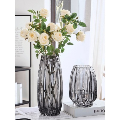 Nordic Light Luxury Glass Vase Transparent Living Room Flower Arrangement Lily and Dracaena Sanderiana Hydroponic Rose Flower Bottle Table Decoration