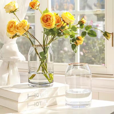 Nordic Glass Vase Decoration Transparent Living Room Creative Flower Arrangement Hyacinth Aquatic Flowers Starry Simple Ins