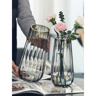 Light Luxury Nordic Gold Goose Egg-Shaped Glass Vase Transparent Water-Raising Flowers Lily Net Red Living Room Vase Ornaments