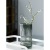 Glass Vase  
