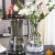 Processing Customized Nordic Light Luxury and Simplicity Gold-Painted Glass Vase Smoky Gray Living Room Dried Flowers Flower Arrangement Flower Ware