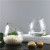 Wholesale Creative round Oblique Transparent Glass Vase Micro Landscape Succulent Glass Bottle Home Decoration