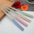 Wheat Straw 304 Stainless Steel Chopsticks Tableware Household Anti-Mildew Non-Slip Kuaizi Set