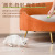 Cross-Border New Arrival Pet Cat Cat Teaser Laser Three-in-One Cat Playing Rod Cat Feather Cat Teaser Toy Cat Supplies