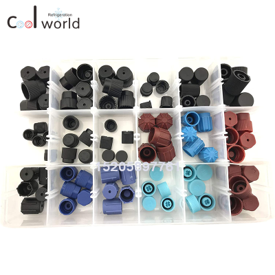 90Pcs/Lot 18 Kinds of Automotive R134a / R12 Air Conditioner Valve Caps Universal R134 R12 Air Valve Cap Dust Cover Set 