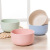 Japanese-Style Environmental Protection Wheat Straw Plastic Children's Bowl Creative Household Anti-Scald Anti-Fall Rice Bowl Gift Bowl Set