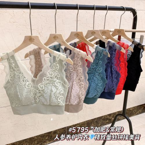 New Lace Wide Shoulder Strap Wrapped Chest Sexy Big V Beauty Back Tube Top No Steel Ring Gathered Bra Girl Underwear