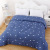 Quilt Winter Quilt Winter Thicken Thermal Student Dormitory Duvet Insert Winter Single Labor Protection Quilt Quilt for Spring and Autumn Quilt Wholesale