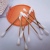 Suncha Bamboo Stick Cotton Swab Double-Headed Household Multi-Functional Cosmetic Cotton Swab Disposable Cotton Swabs