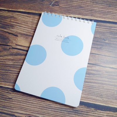 Spiral binding B5 notebook Blank paper