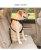 Car Pet Supplies Car Safety Belt for Pet Dog Car Seat Belt Factory Wholesale