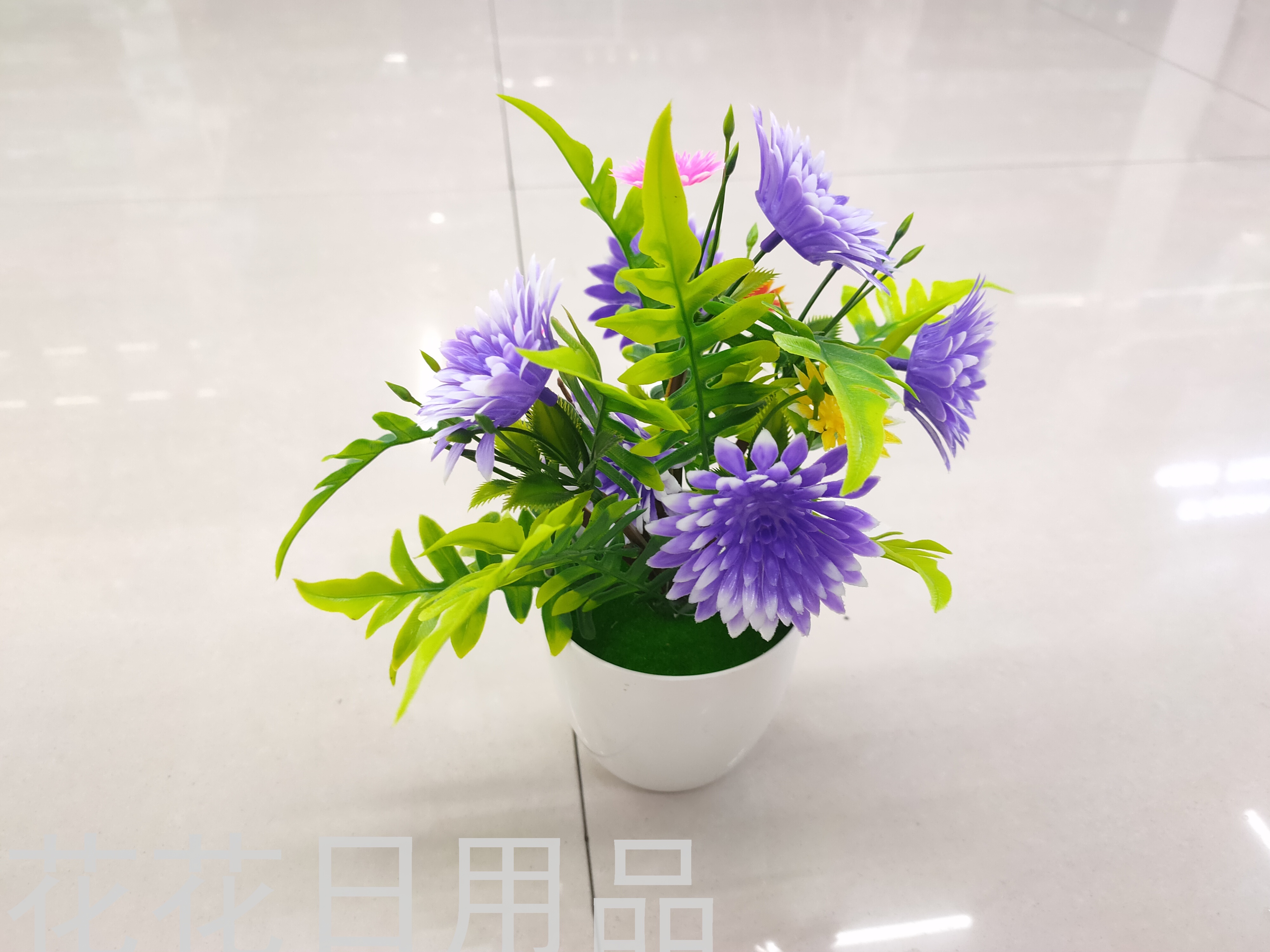 Product Image Gallery