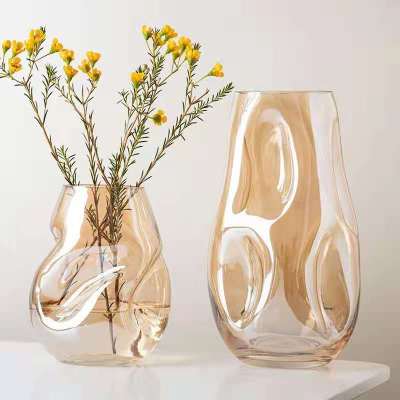 Spring Gift Light Luxury and Simplicity Glass Vase Decoration Nordic Living Room Creative Flowers Water Culture Dried Flower Inserting Devices
