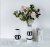 Nordic Ins Creative Black and White Striped Ceramic Vase Wholesale Flowers Dried Flowers Flower Arrangement Art B & B Home Decoration
