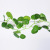 Simulation Leaf Simulation Rattan Green Leaves Simulation Ivy Leaves Vine Ivy Strip Artificial Green Leaf Leaves Vine Vine Simulation Flower