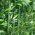 Imitation Bamboo Fine Water Fake Bamboo Decoration Indoor Outdoor Partition Green Plant Plastic Wall Balcony Decoration Landscape