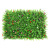 Emulational Lawn Simulation Plant Wall Lawn Ordinary Encryption Eucalyptus Plastic Artificial Green Plant Fake Turf
