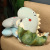 Foreign Trade Factory Direct Sales Egg Shell Dinosaur Pillow Doll Plush Toy Little Dinosaur Doll Sleeping on Girls' Bed