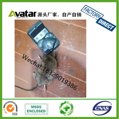 2022 Mechanical Indoor Killer Smart Self-locking Animal-friendly reusable humane plastic alive flip mousetrap
