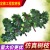 Simulation Branch Banyan Leaf Red Maple Leaf Indoor Artificial Tree Ginkgo Leaf Plastic Branches Engineering Green Plant Tree Branches