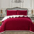 Factory Autumn and Winter Thermal Ultrasonic Bedspread Front Super Soft Velvet Back Lambswool Solid Color Quilt Bedding