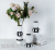Nordic Ins Creative Black and White Striped Ceramic Vase Wholesale Flowers Dried Flowers Flower Arrangement Art B & B Home Decoration