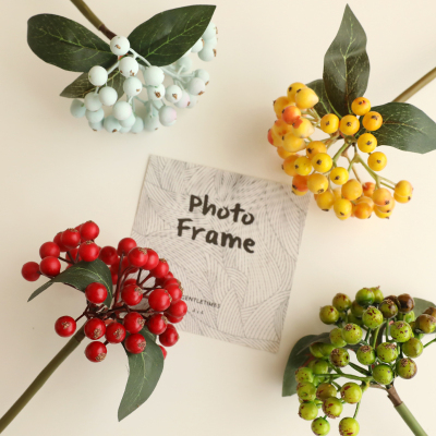 Simulation Berries Chinese Hawthorn Retro Idyllic Multi-Color Fake Wild Fruit Domestic Ornaments Photography Props
