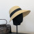 Hepburn Style Big Brim Straw Hat Women's Summer Beach Vacation Seaside Korean Style Ins Fresh Sun Protection Sun Hat