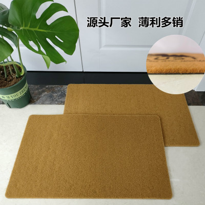 Imitation Coconut Palm Carpet Mud Scraping Dust Removal New Steel Wire Floor Mat Plain Non-Slip Durable Polyester PVC Door Mat Doormat