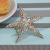 Popular Cross-Border Creative Starfish Napkin Ring Napkin Ring Wedding Hotel Table Decoration Napkin Ring