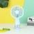 [Brand Item No.] Sq2219d
[Product Name] Plum Blossom Light Ambience Light Third Gear Rechargeable Fan