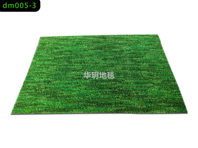 New Lawn Mats Carpet Non-Slip Sole Back Earth Removing Lawn Door Mat Door Mat Outdoor Carpet