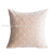 Factory Direct Sales New Velvet Light Luxury Pearl Pillow Cover Simple Fashion Sofa Car Pillow Cushion Coat