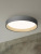 Nordic Bedroom Light Ultra-Thin LED Ceiling Lamp Modern Simple Lamps Minimalist Quiet Wind Master Bedroom Room Study Lamp