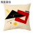 Amazon 2022 New Pillow Square Pillow Cover Digital Printing Cushion Geometric Abstract Pillow Home Decoration