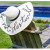 White Embroidered Letter Straw Hat Summer Women's Big Brim Sun Hat Socialite Beach Seaside Vacation Hat Wholesale