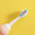 Shishihao Cartoon Toothbrush Ultra-Fine Ten Thousand Hair Toothbrush Portable Toothbrush General-Purpose Model School Travel Business Trip Soft-Bristle Toothbrush
