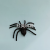 New Pure Black Flat Belly Spider Simulation Insect Trick Funny Expandable Material Toy Capsule Toy Blind Box Accessories Gift Manufacturer