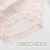 Pure Desire Style Gauze Knitting Lace Simple Solid Color Underwear Women's Breathable Traceless Mid Waist Classic Girl Briefs Summer